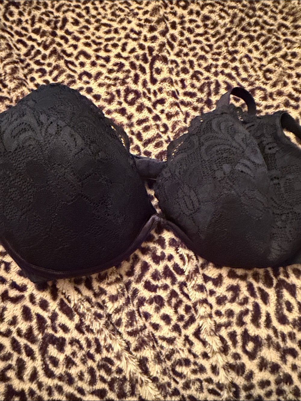 Cacique Black Lace Push-Up Bra